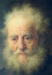 Bust of an Old Man with a Gold Chain (detail)